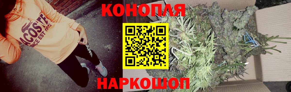 Каннабис семена Сосновый Бор